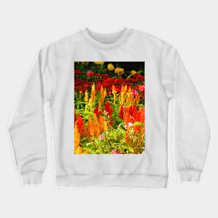 A group of Prince Of Wales Feathers Crewneck Sweatshirt